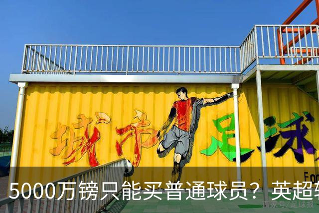 5000万镑只能买普通球员？英超转会市场彻底疯了